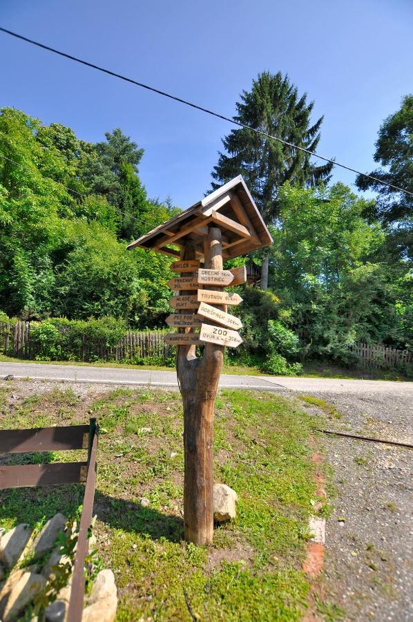 Ubytovani U Krakonose Villa Lampertice Buitenkant foto
